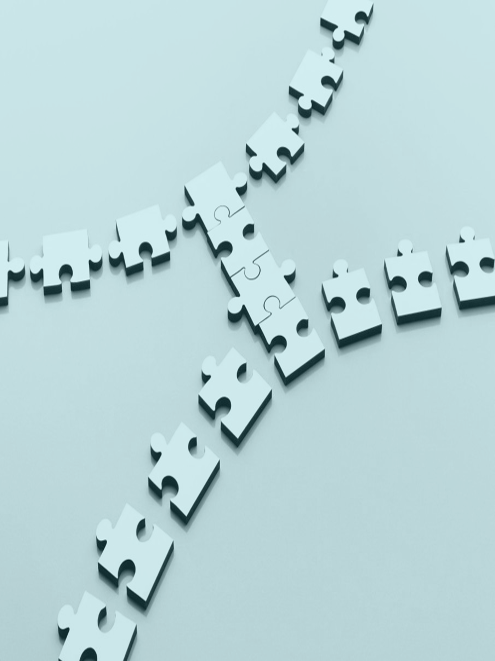 Expertise in emerging markets